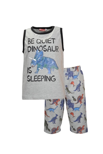 Erkek Çocuk Grimelanj Sleepy Dino Şortlu Pijama Takımı (1-7yaş)